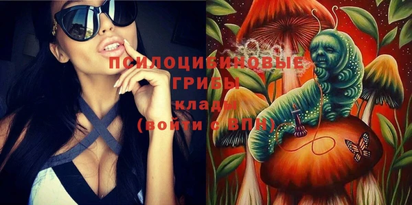соль ск Балабаново